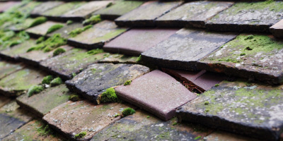 Oldbury On Severn roof repair costs
